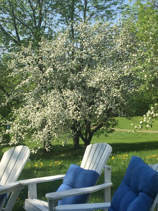 Gite Au Toit Bleu Bed & Breakfast Sainte-Famille Exterior photo